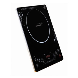 Induction Stove 